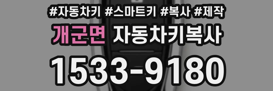 개군면 자동차키복사