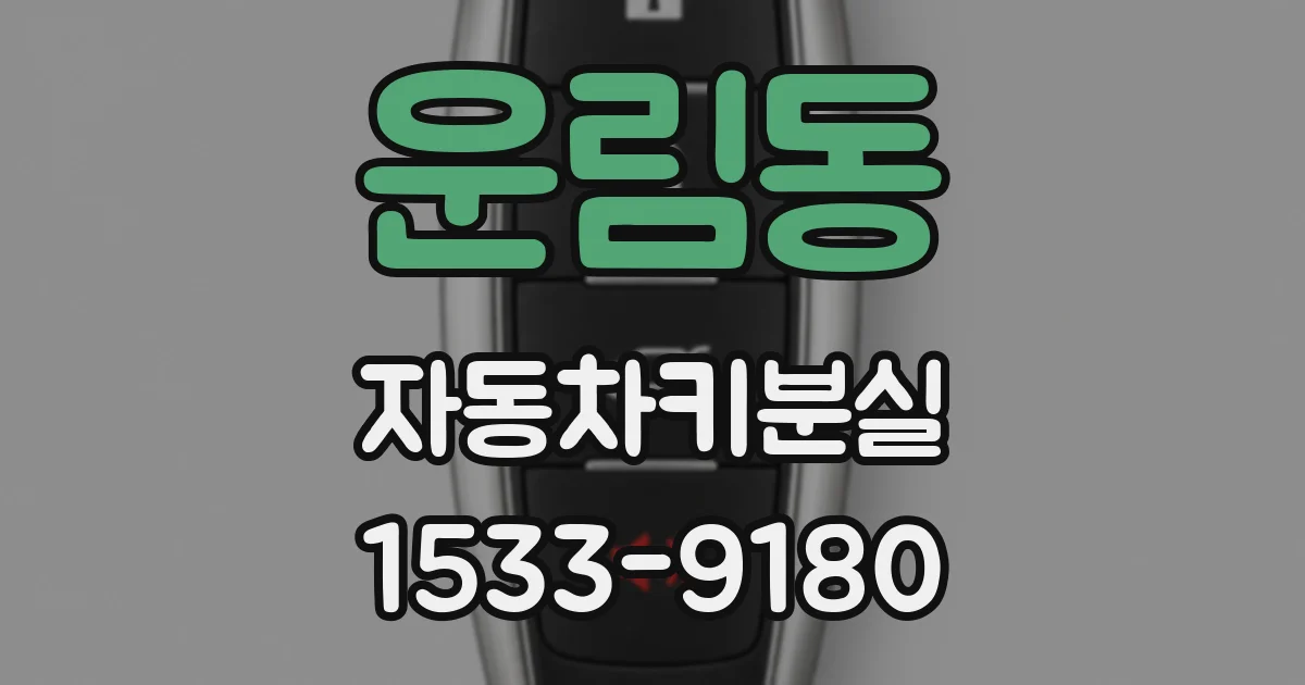운림동 자동차키분실