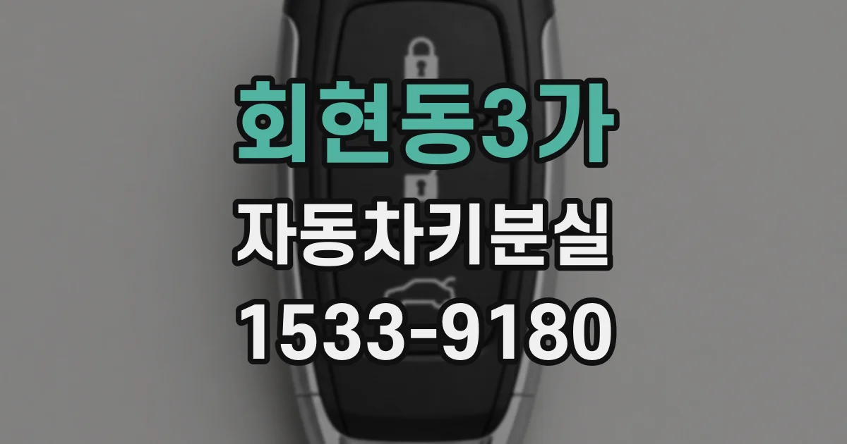 회현동3가 자동차키분실