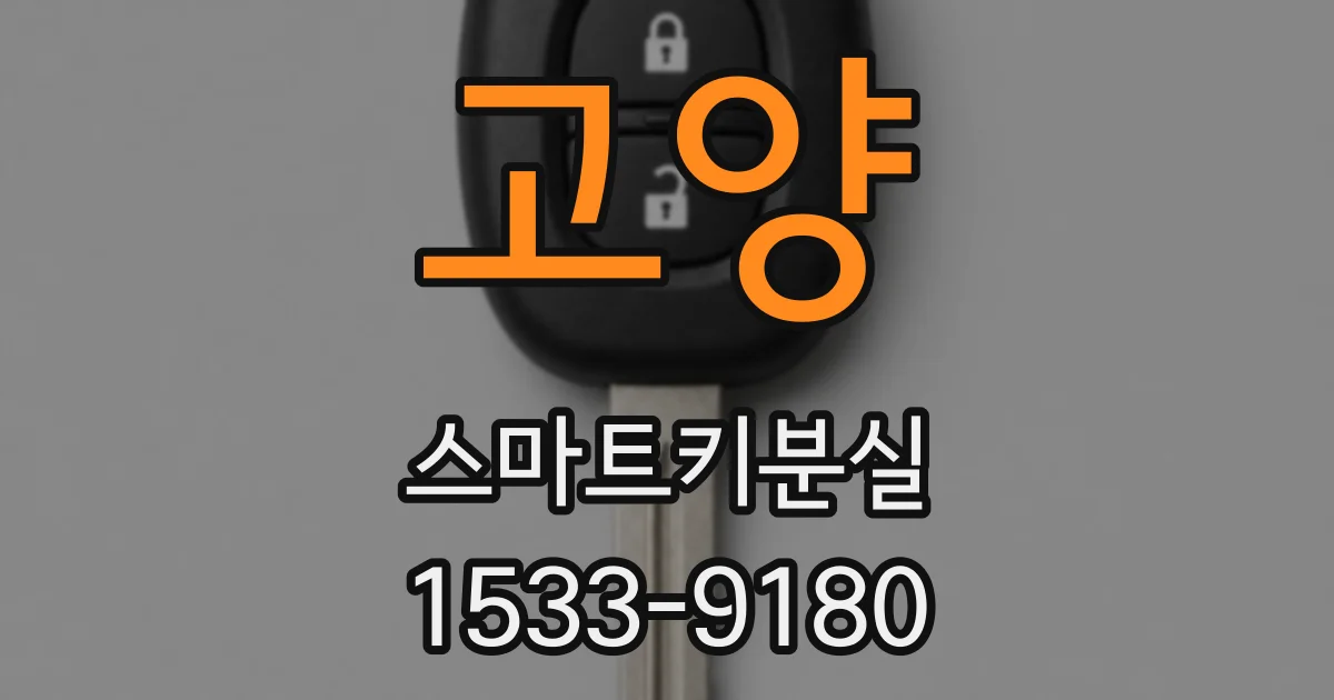 고양 스마트키분실