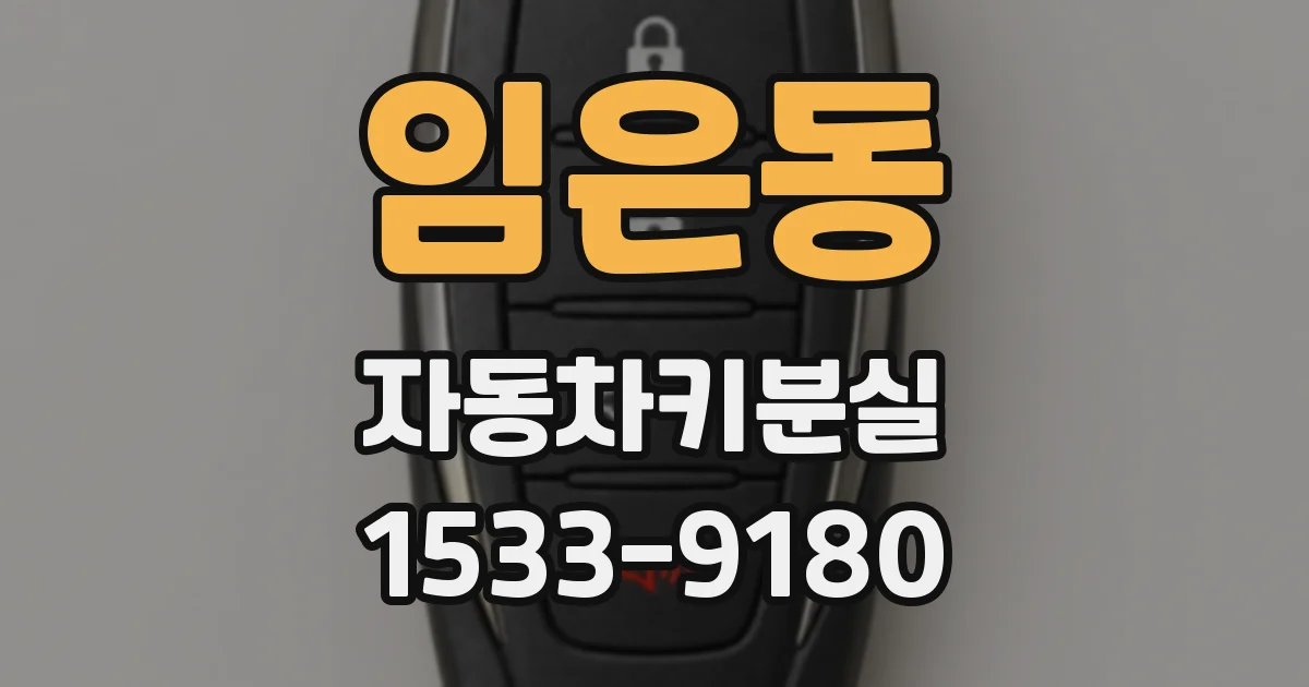임은동 자동차키분실