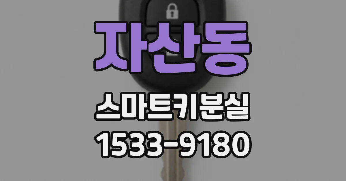 자산동 스마트키분실