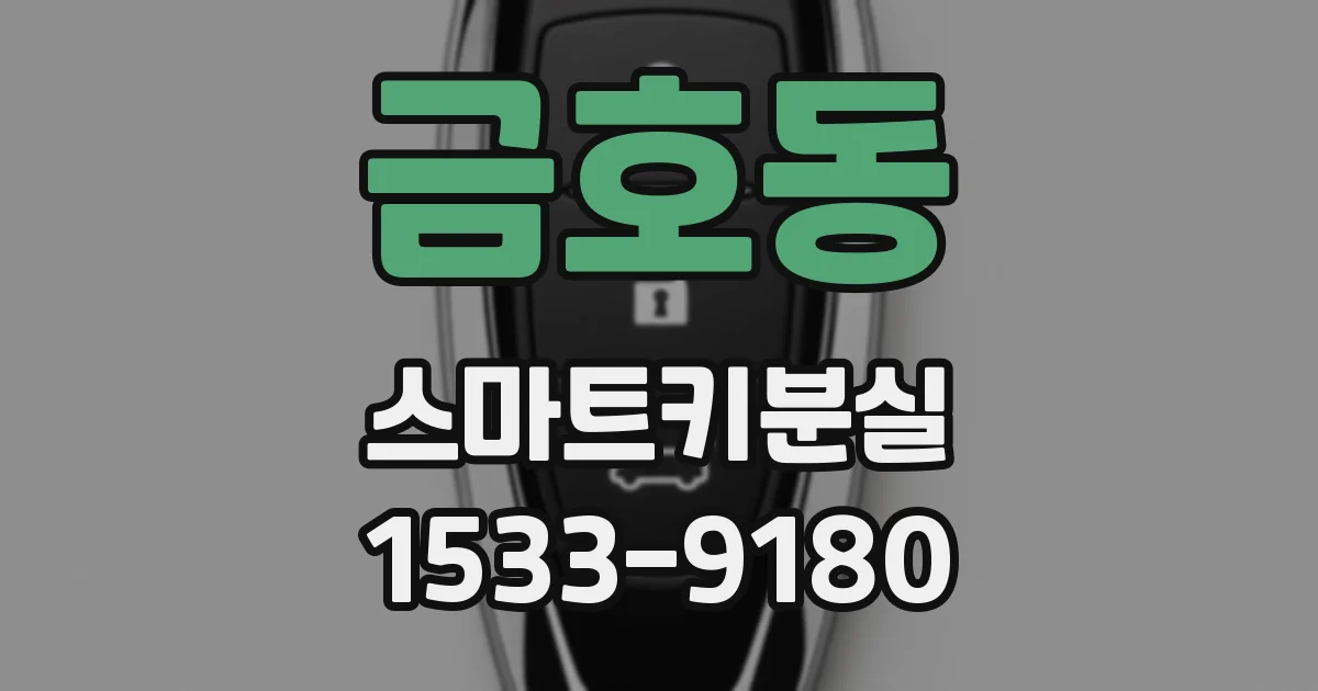 금호동 스마트키분실