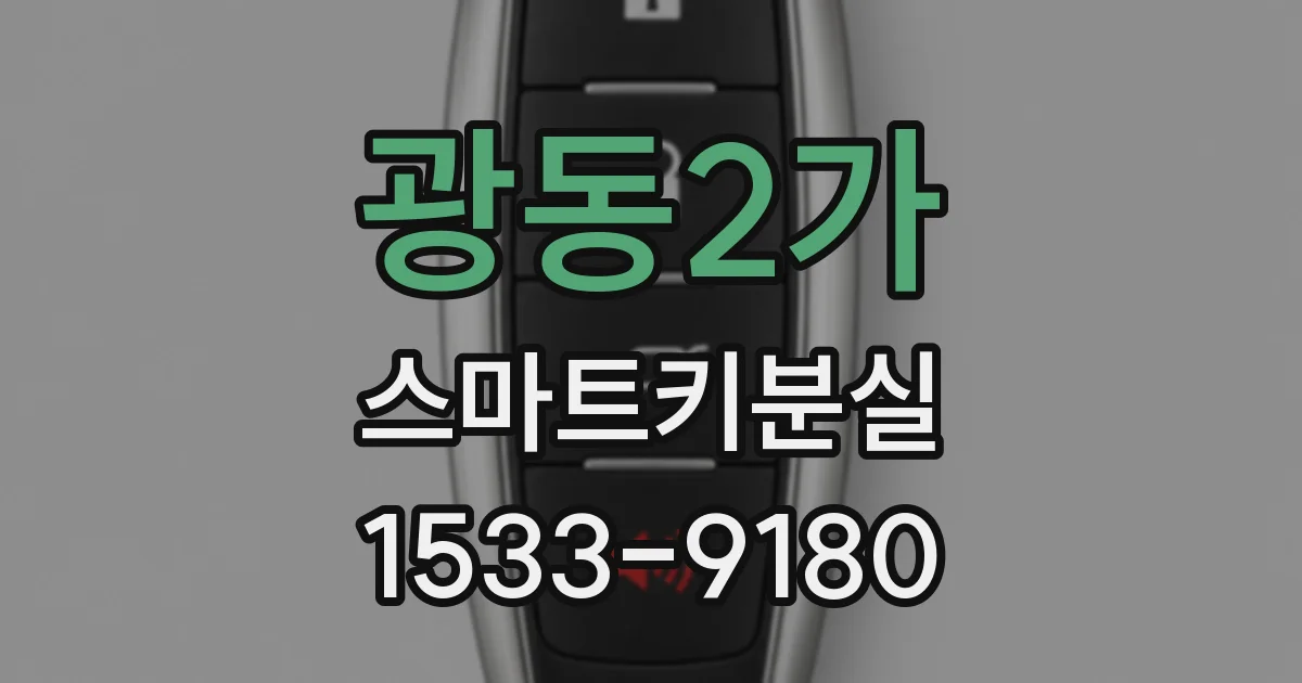 광동2가 스마트키분실