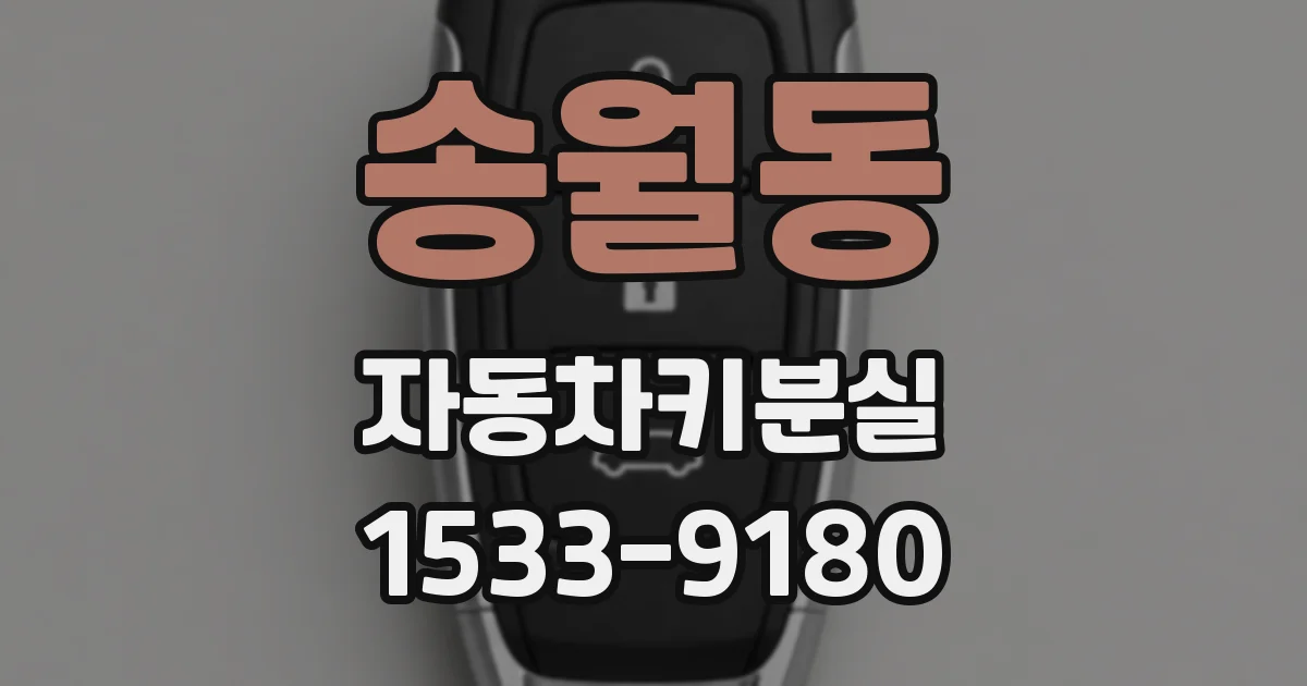 송월동 자동차키분실