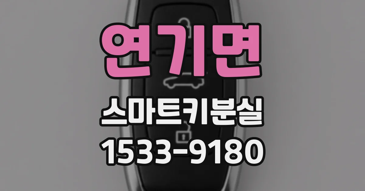 연기면 스마트키분실