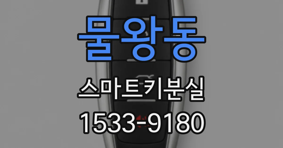 물왕동 스마트키분실