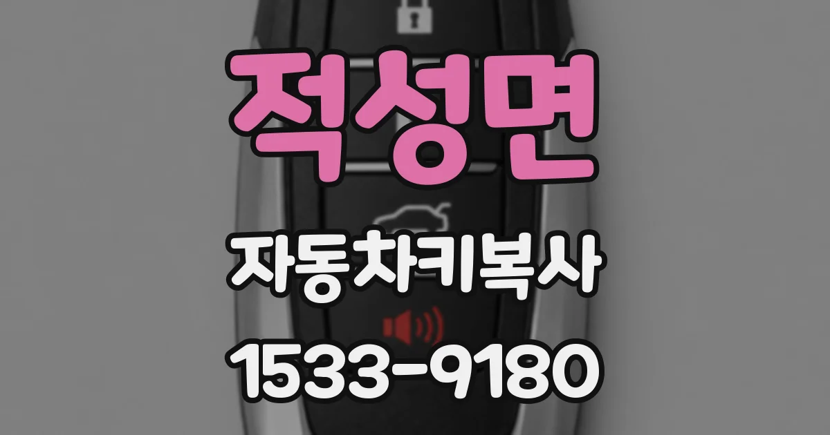 적성면 자동차키복사