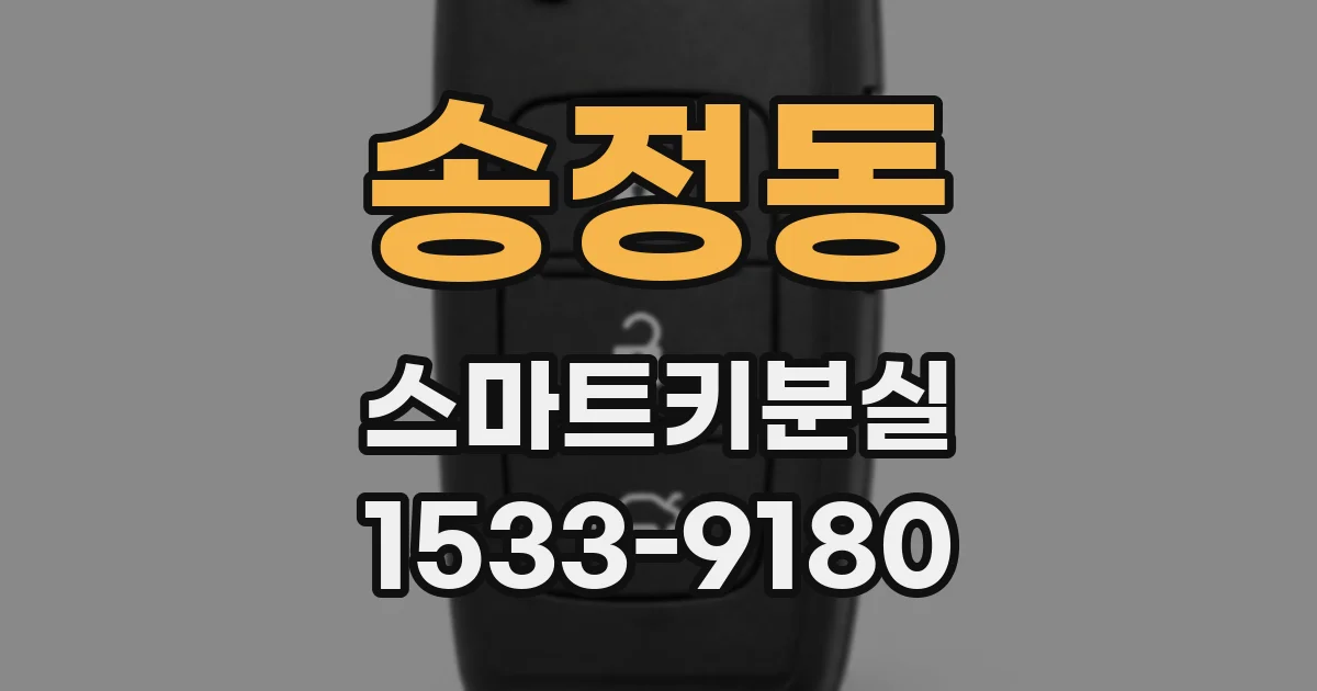 송정동 스마트키분실