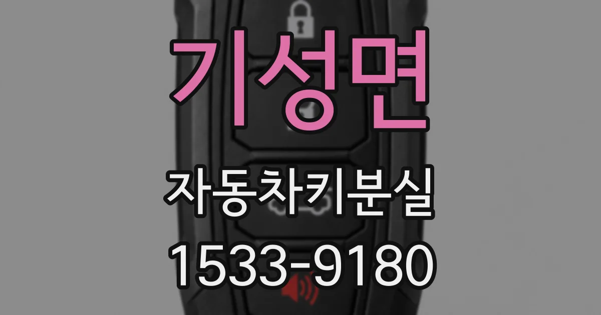 기성면 자동차키분실