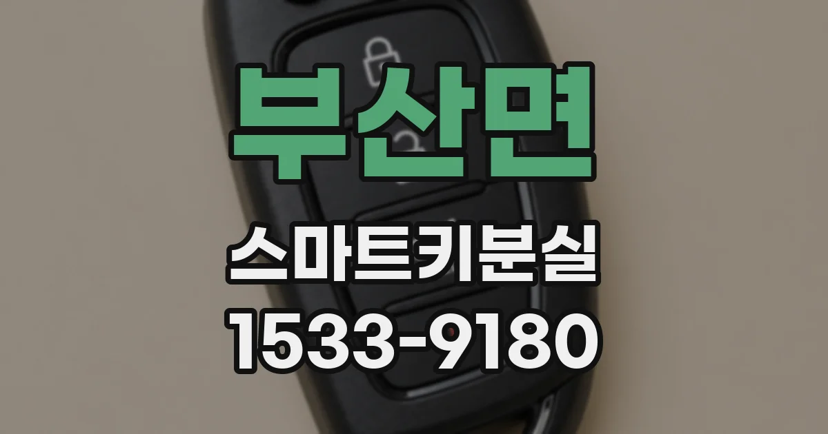 부산면 스마트키분실