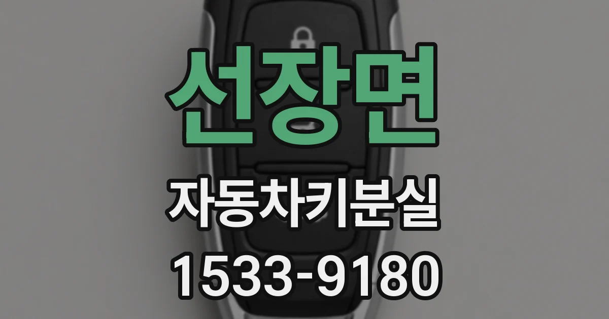 선장면 자동차키분실