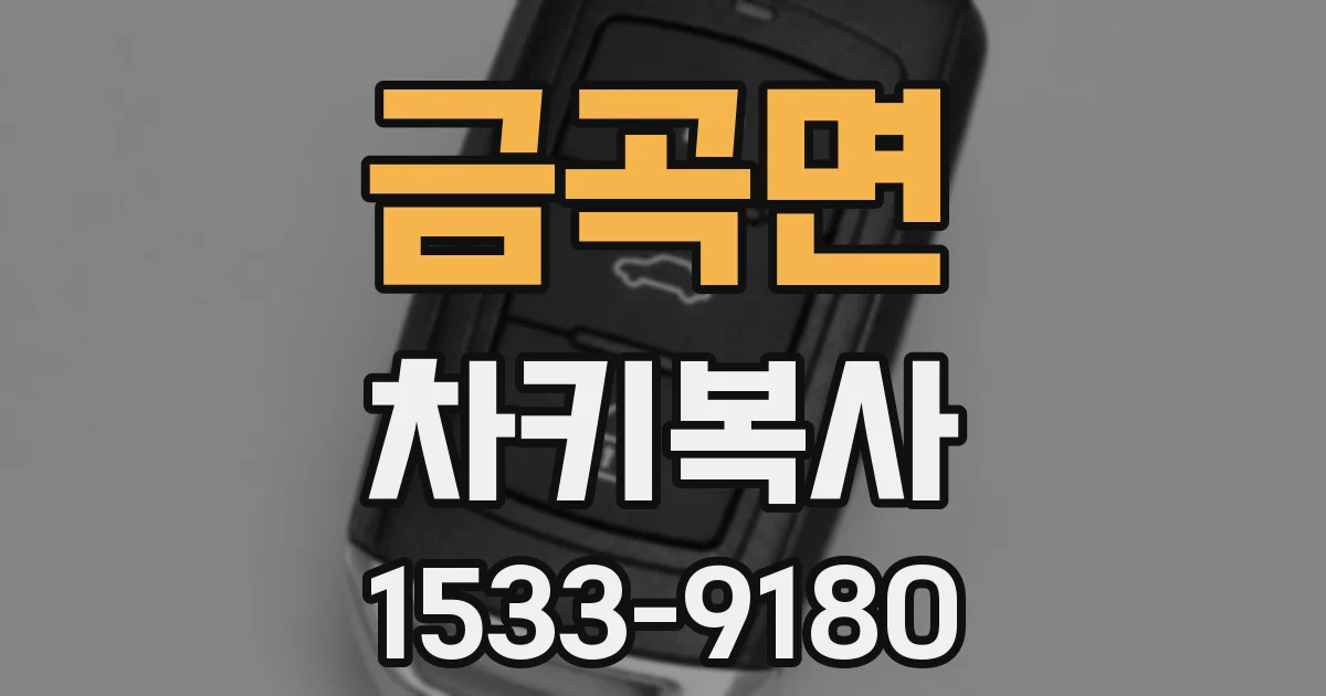 금곡면 차키복사