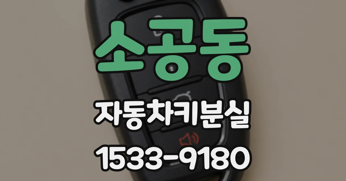 소공동 자동차키분실