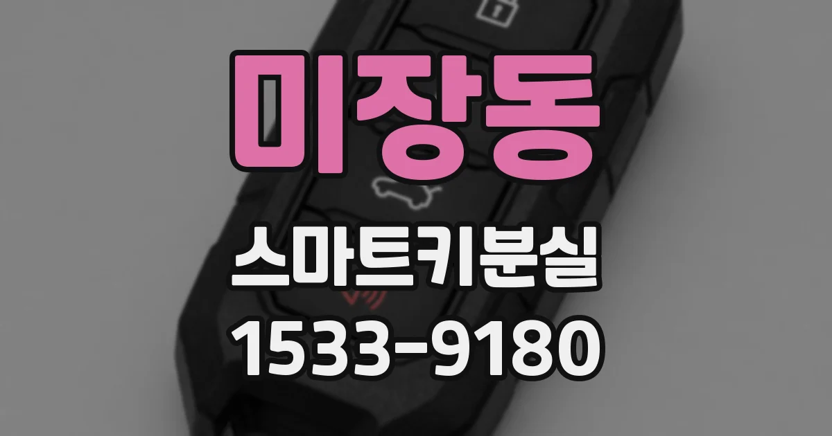미장동 스마트키분실