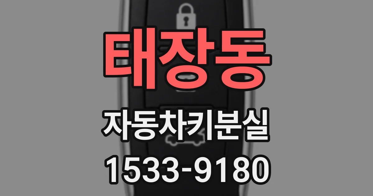 태장동 자동차키분실