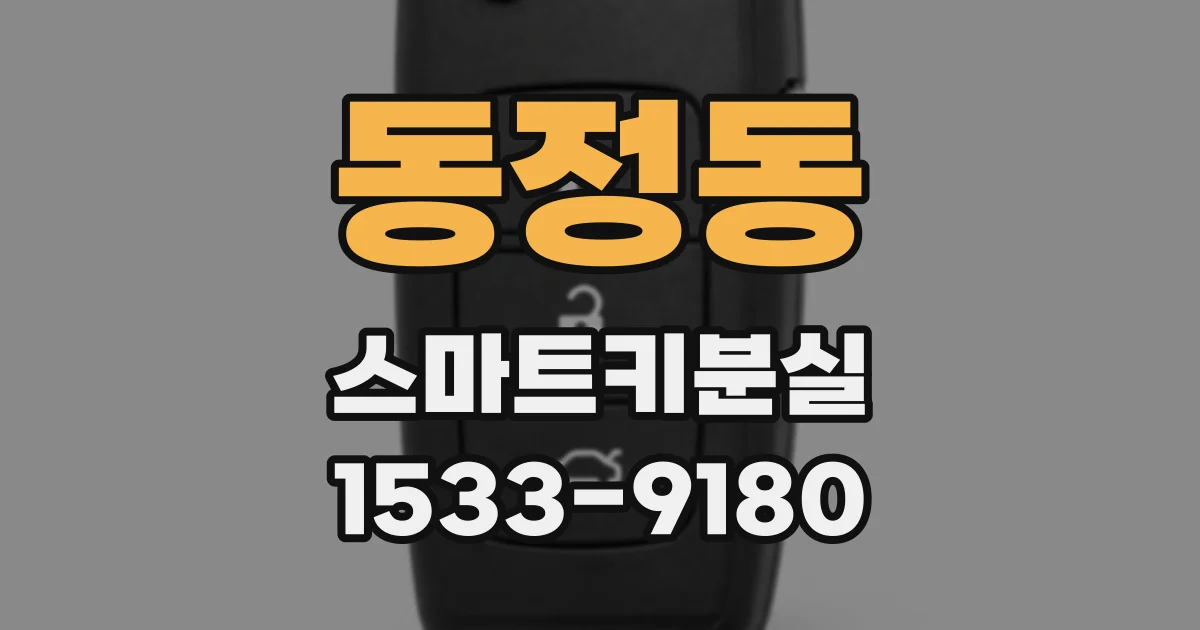 동정동 스마트키분실