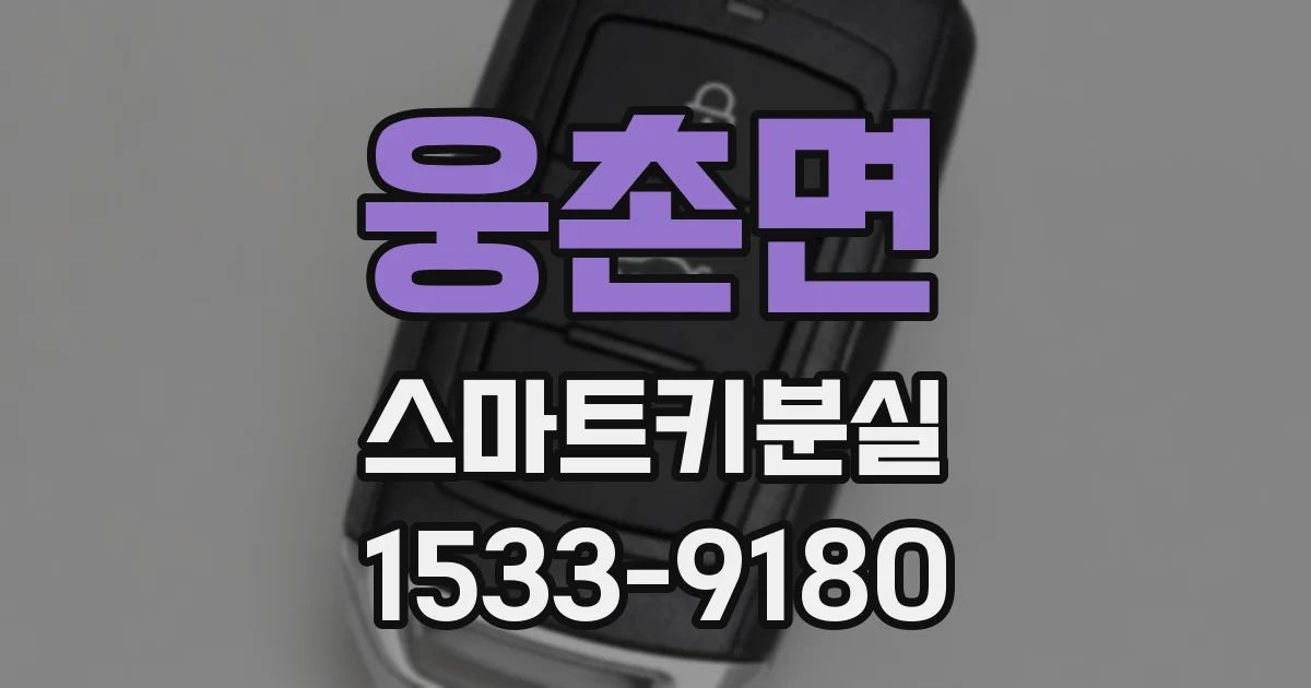 웅촌면 스마트키분실