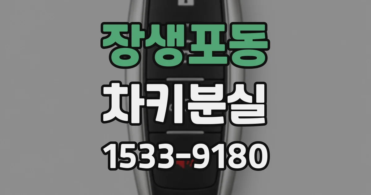 장생포동 차키분실