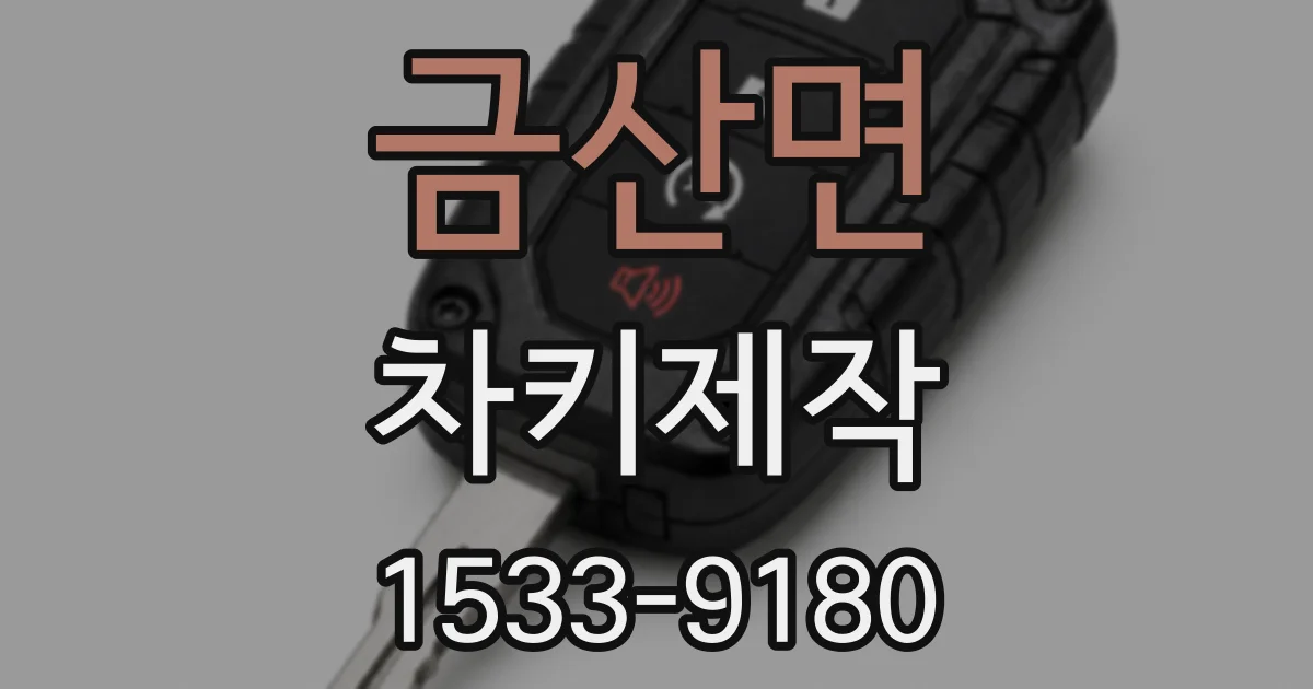금산면 차키제작