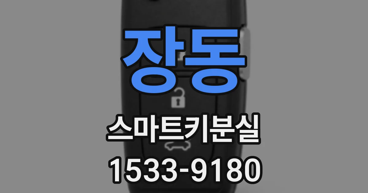장동 스마트키분실