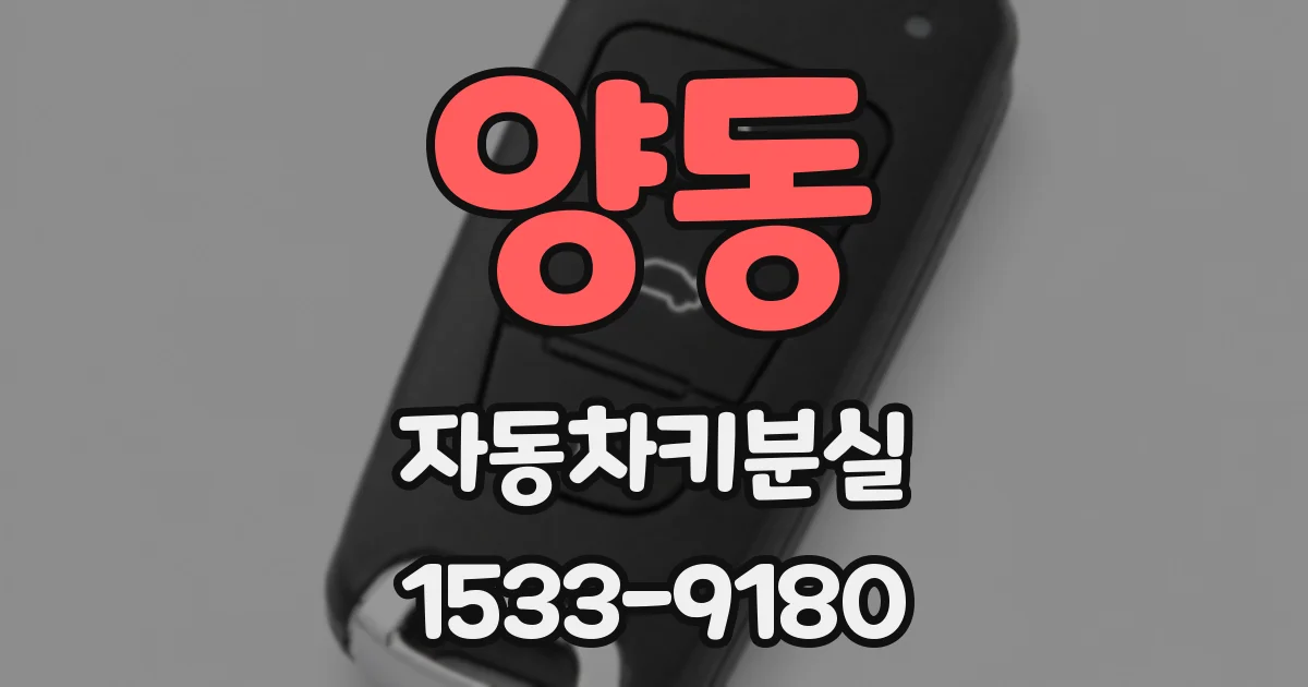 양동 자동차키분실