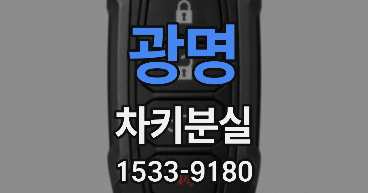 광명 차키분실