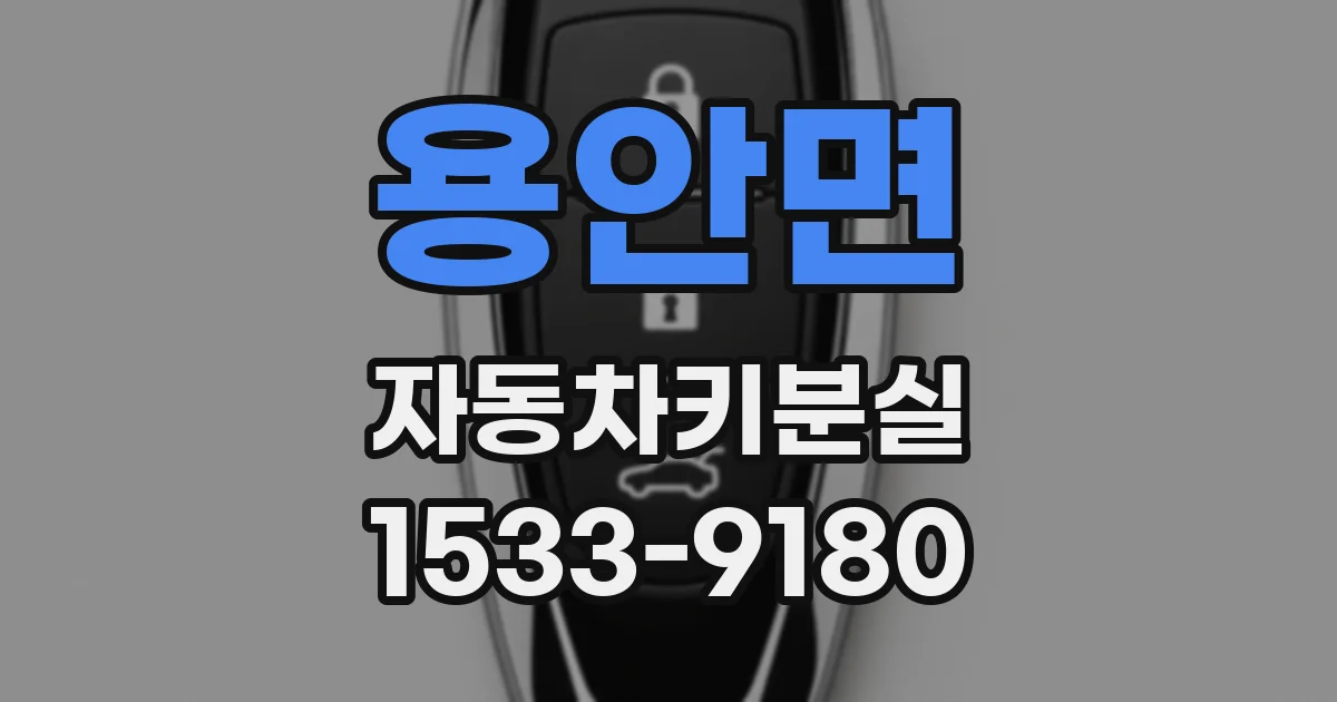 용안면 자동차키분실
