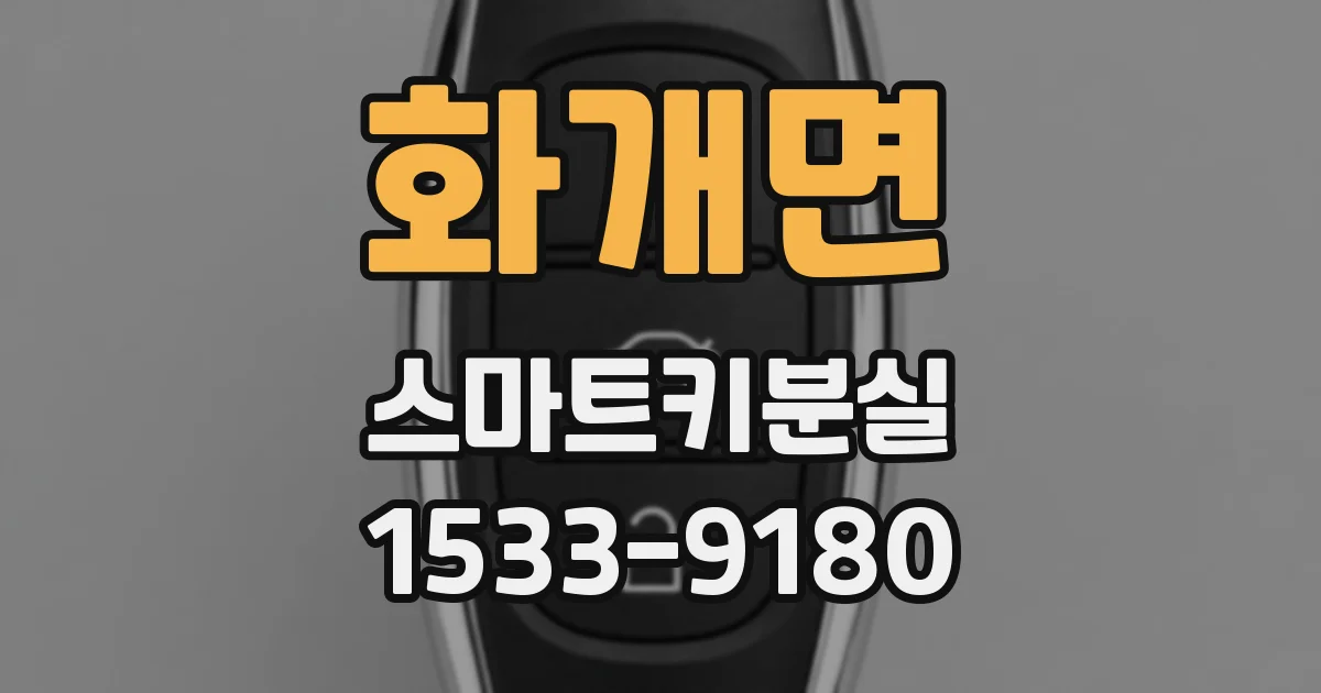 화개면 스마트키분실
