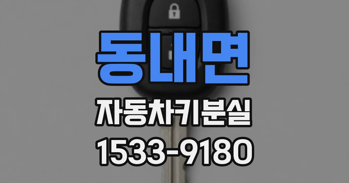 동내면 자동차키분실
