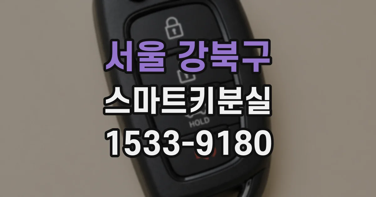 서울 강북구 스마트키분실