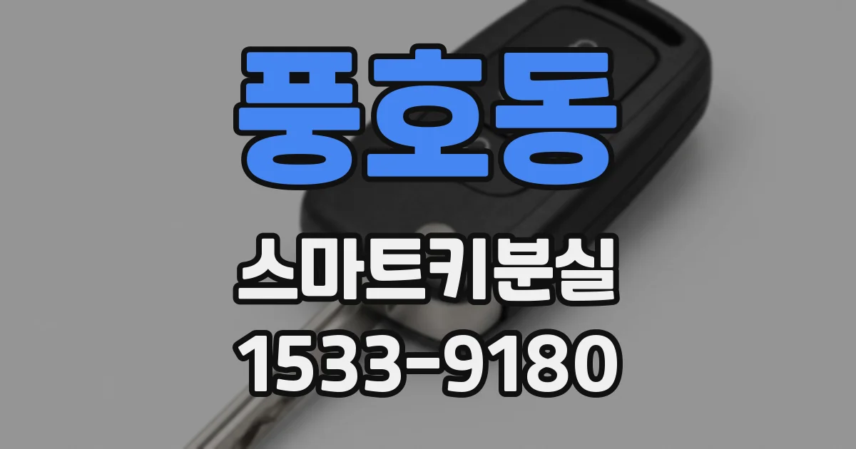 풍호동 스마트키분실