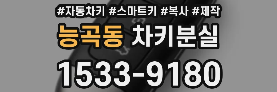 능곡동 차키분실