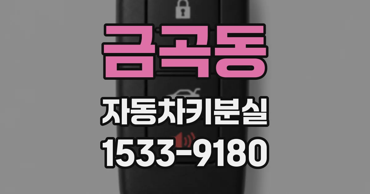 금곡동 자동차키분실