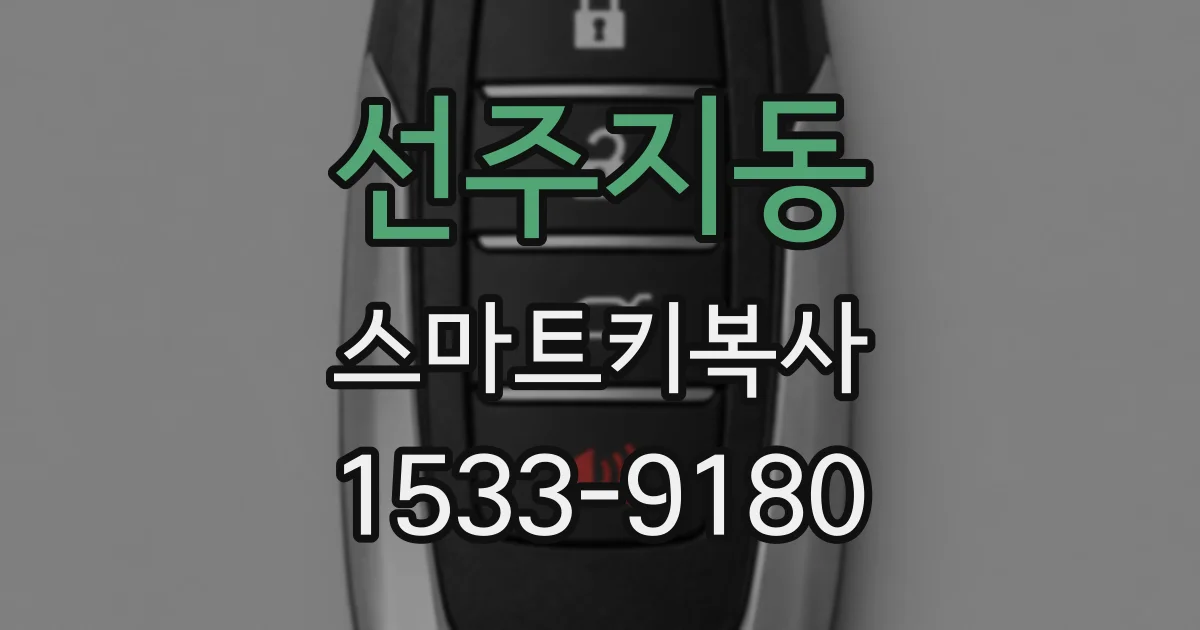 선주지동 스마트키복사