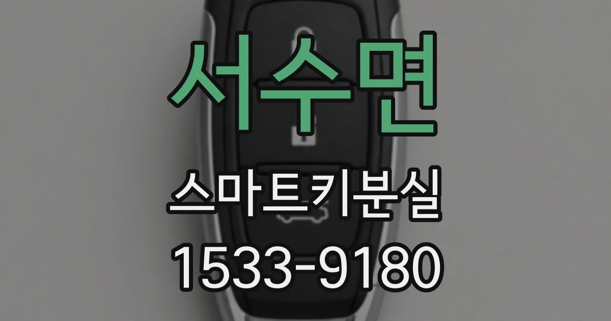 서수면 스마트키분실