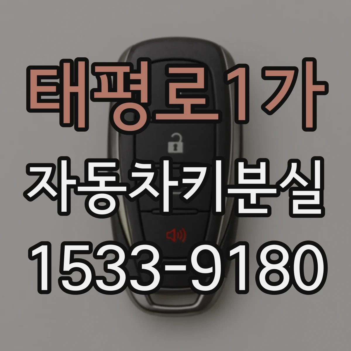 태평로1가 자동차키분실