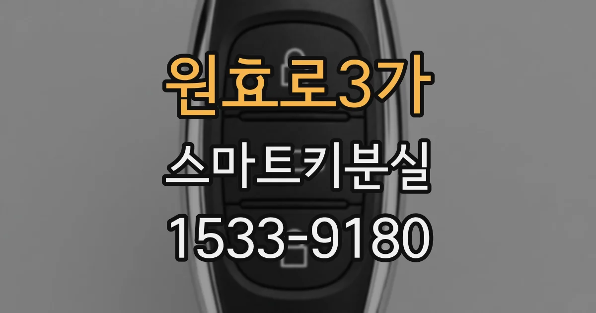 원효로3가 스마트키분실