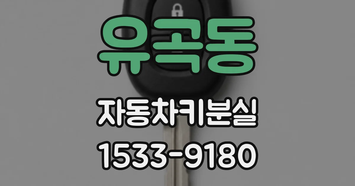 유곡동 자동차키분실