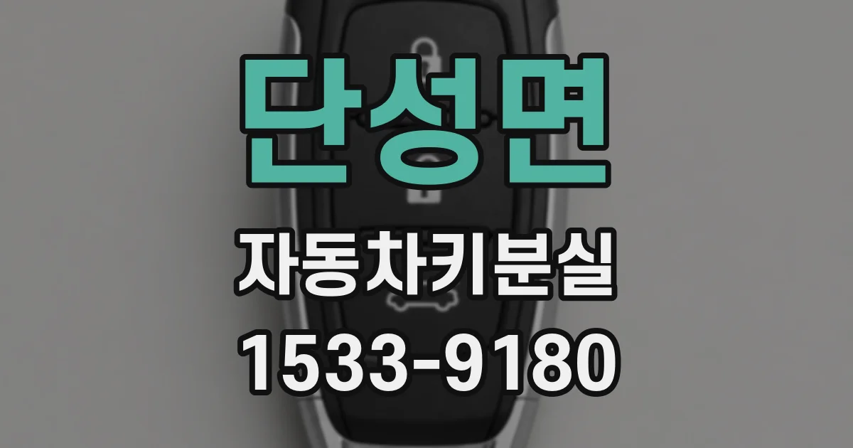단성면 자동차키분실