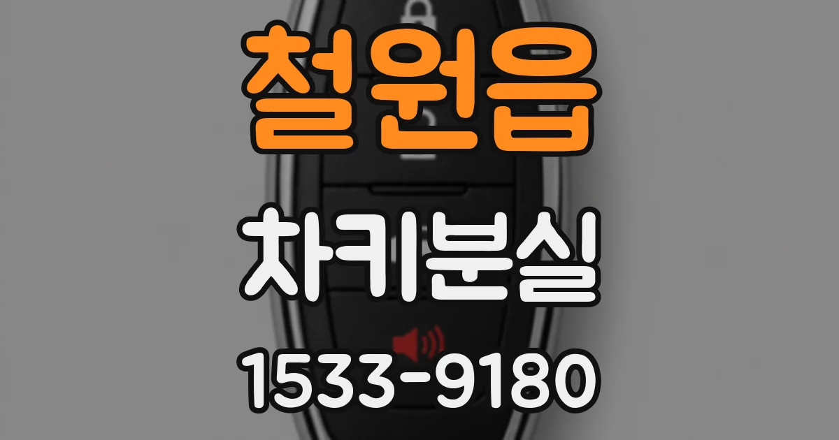 철원읍 차키분실