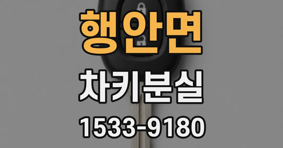 행안면 차키분실