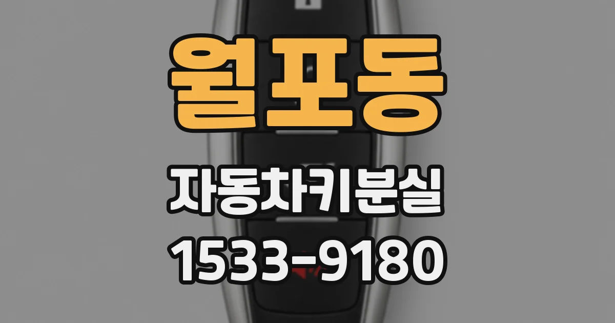 월포동 자동차키분실