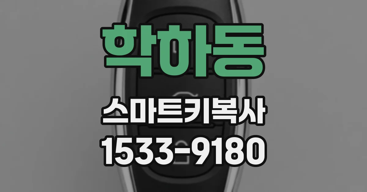 학하동 스마트키복사