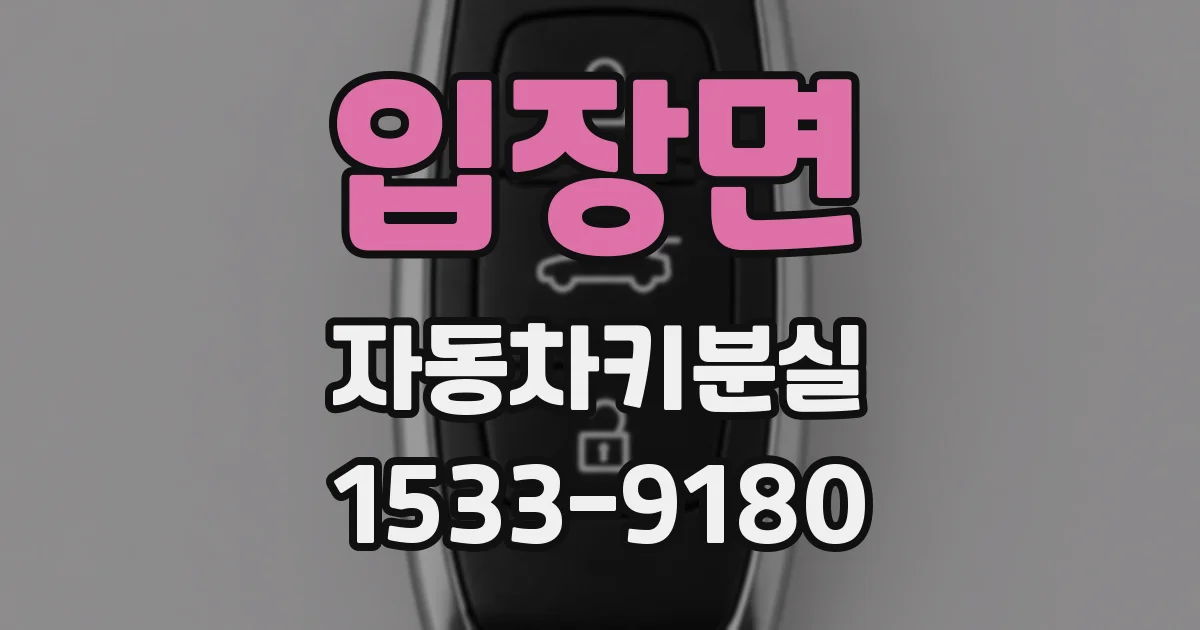 입장면 자동차키분실