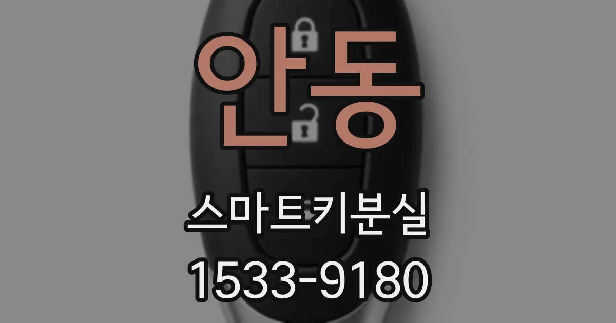 안동 스마트키분실