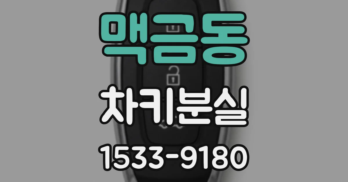 맥금동 차키분실
