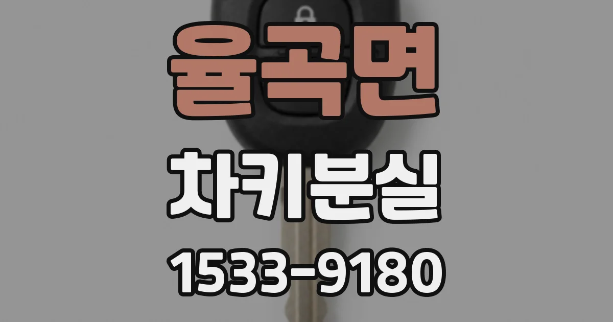 율곡면 차키분실