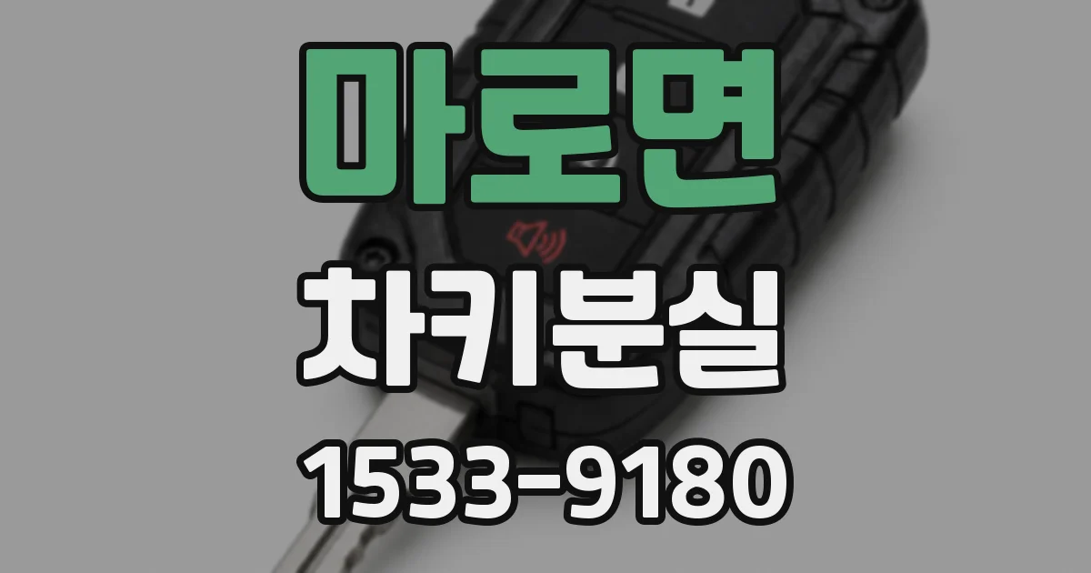 마로면 차키분실