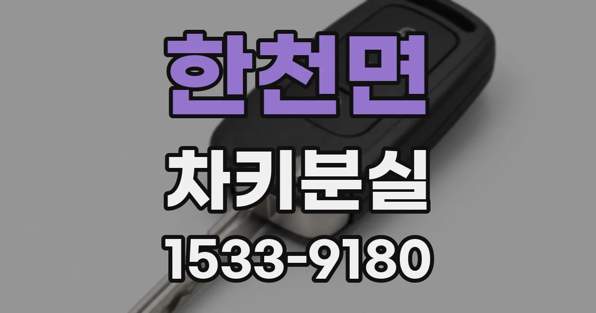한천면 차키분실